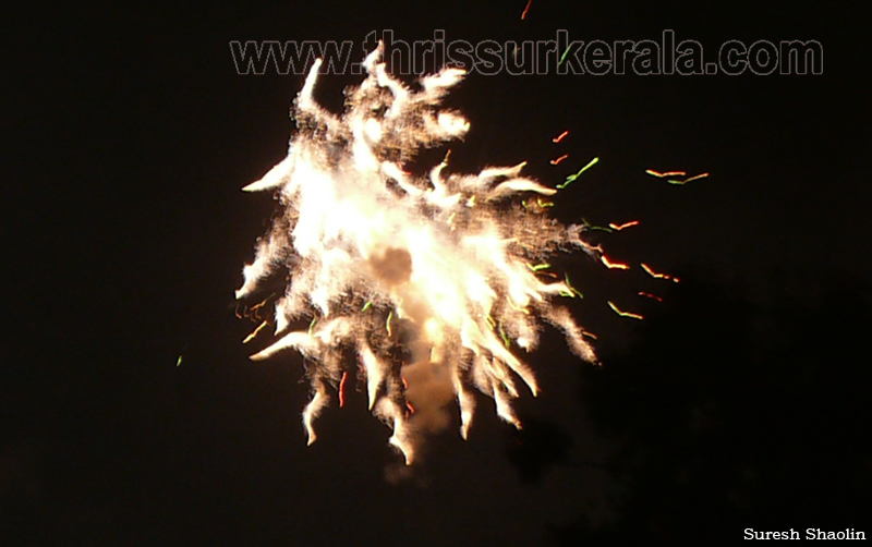 thrissur-pooram-2011- (131)